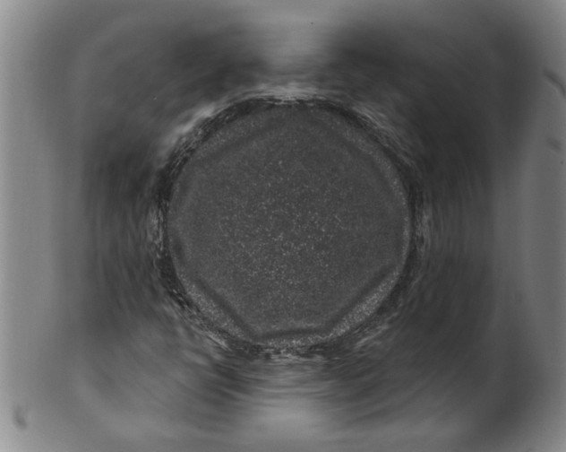 X0000100391398200806271346