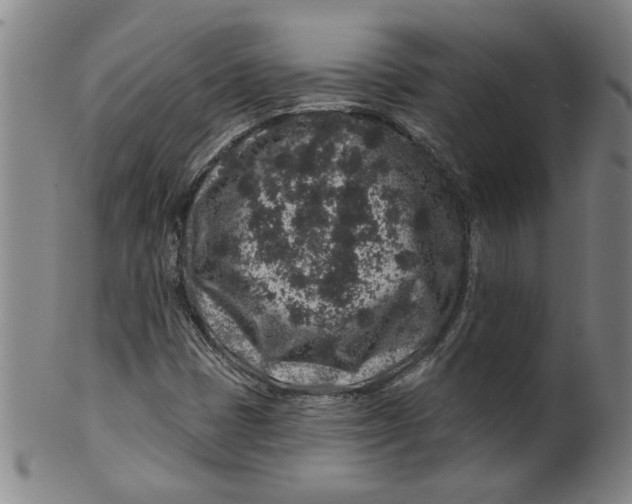 X0000100391401200806271346