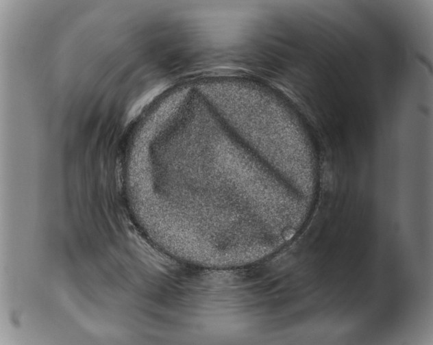 X0000100391402200806271346