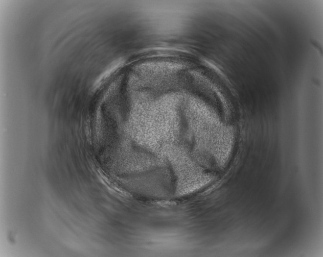 X0000100391403200806271346