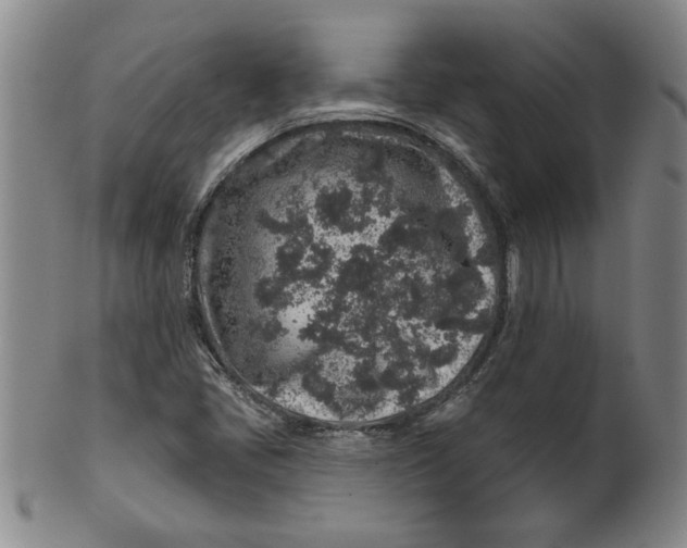 X0000100391405200806271347