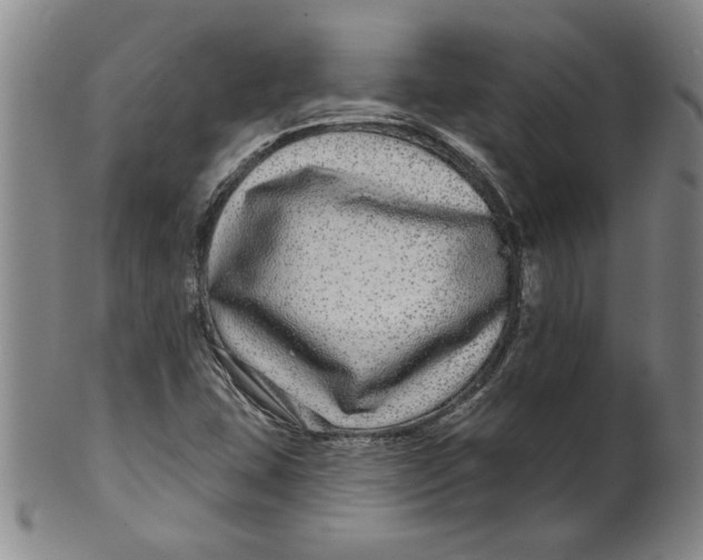 X0000100391407200806271347