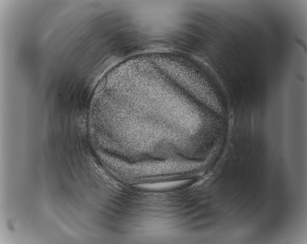 X0000100391409200806271347