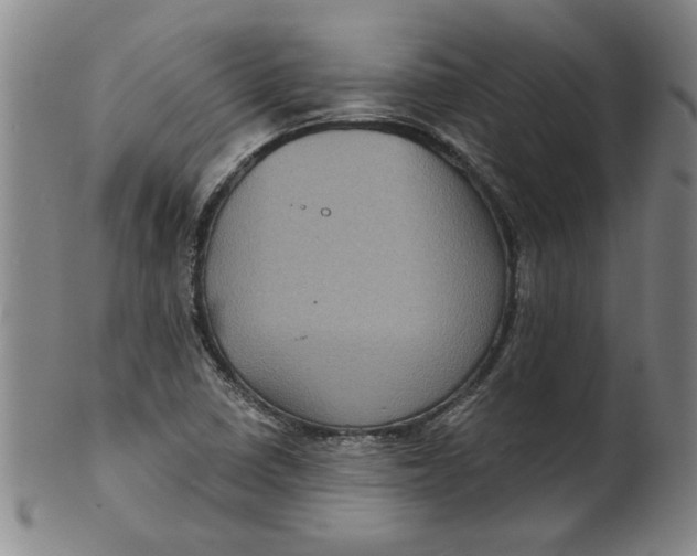 X0000100391410200806271347