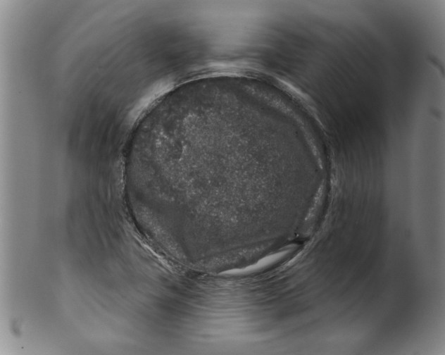 X0000100391411200806271347