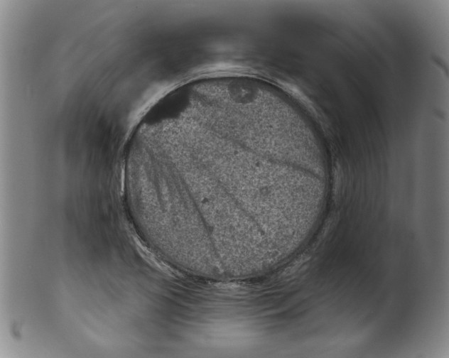 X0000100391413200806271347