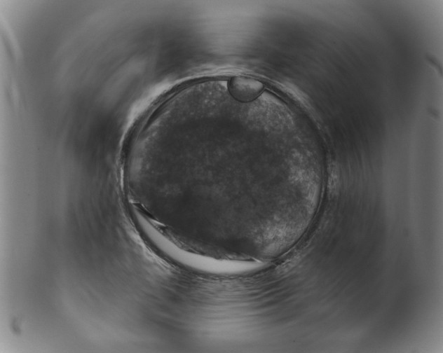 X0000100391414200806271347