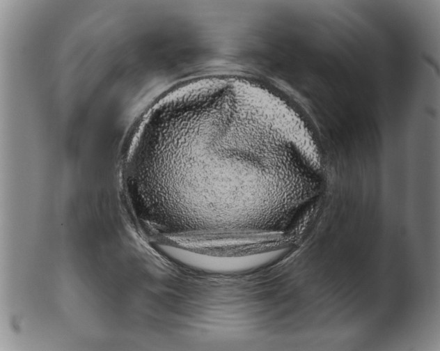 X0000100391415200806271347