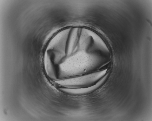 X0000100391416200806271347