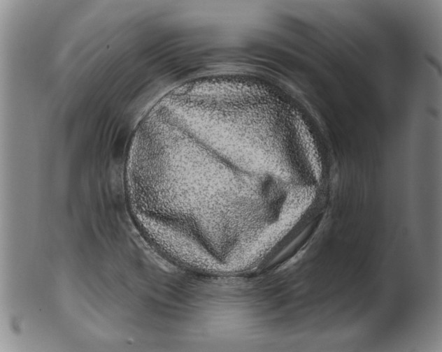 X0000100391417200806271347