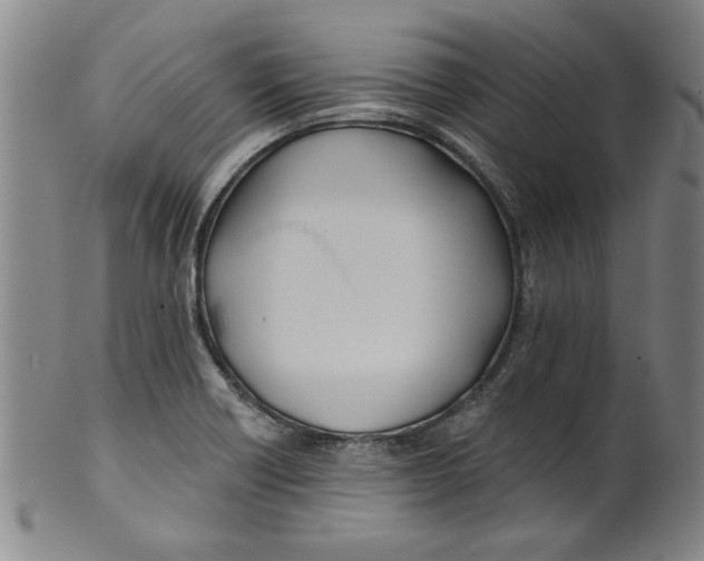 X0000100391418200806271347