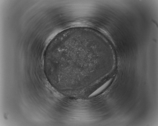 X0000100391419200806271347