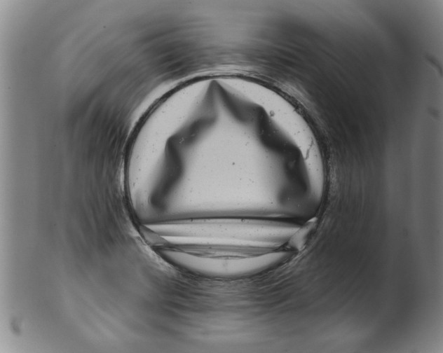 X0000100391420200806271347