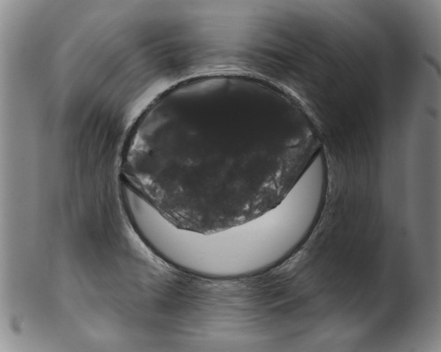 X0000100391422200806271347