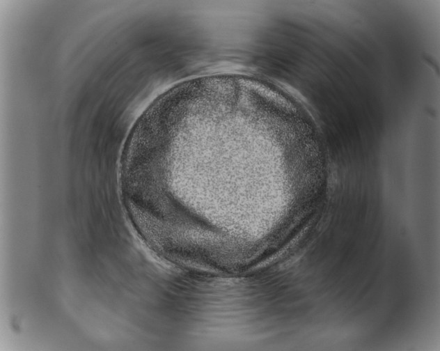 X0000100391423200806271347