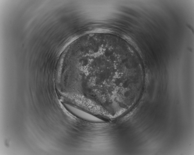 X0000100391425200806271347