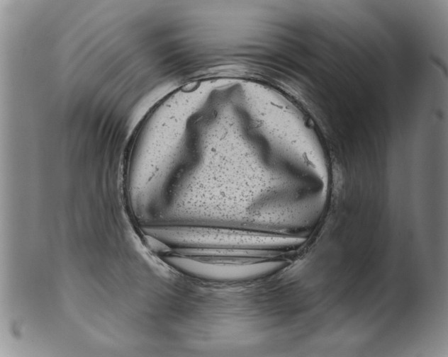 X0000100391426200806271347