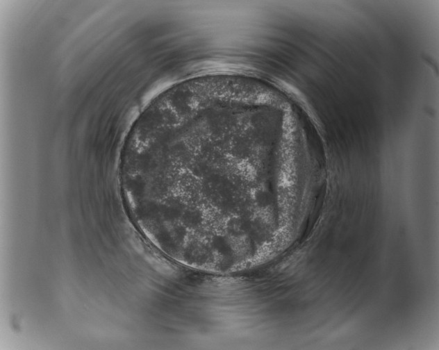 X0000100391427200806271347