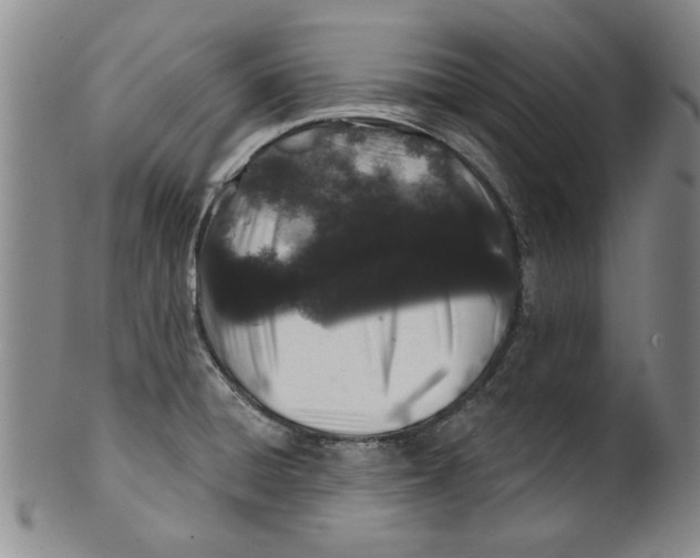 X0000100391428200806271347