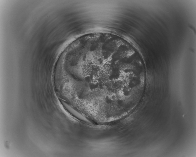 X0000100391429200806271347