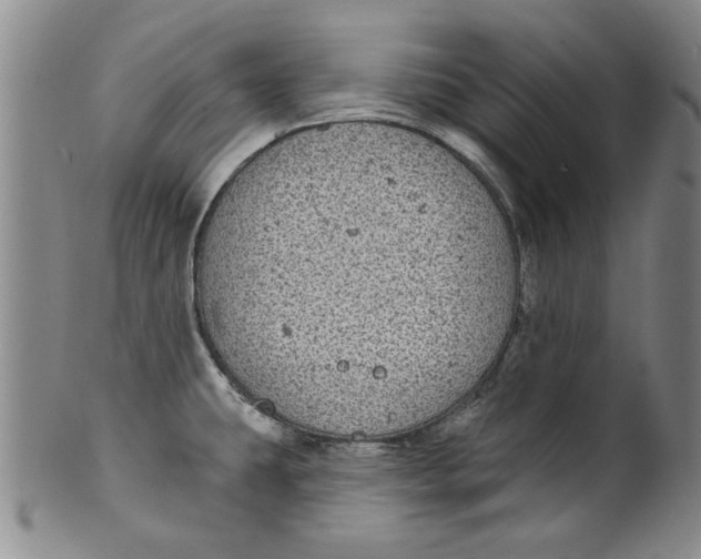 X0000100391431200806271347