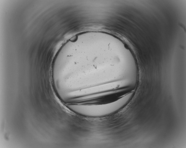 X0000100391432200806271347