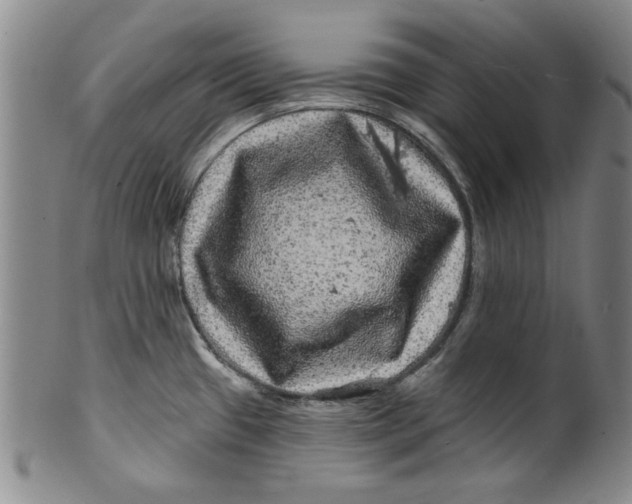 X0000100391433200806271347