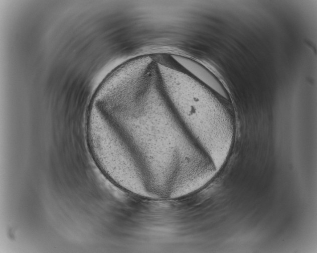 X0000100391438200806271347