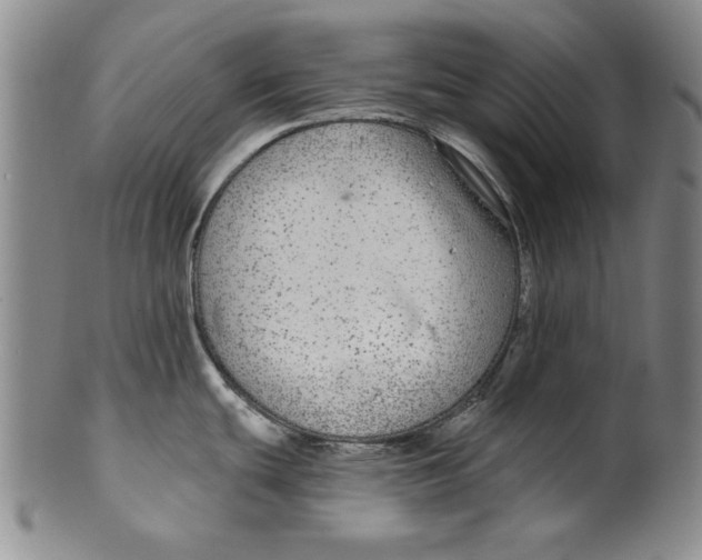 X0000100391439200806271347