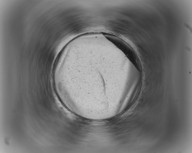 X0000100391440200806271347