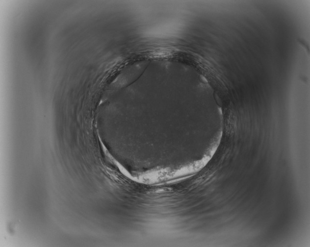 X0000100391441200806271346