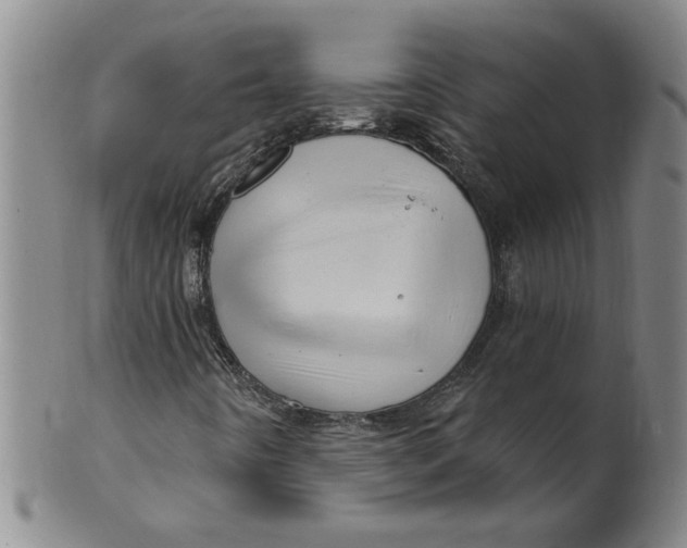 X0000100391442200806271346