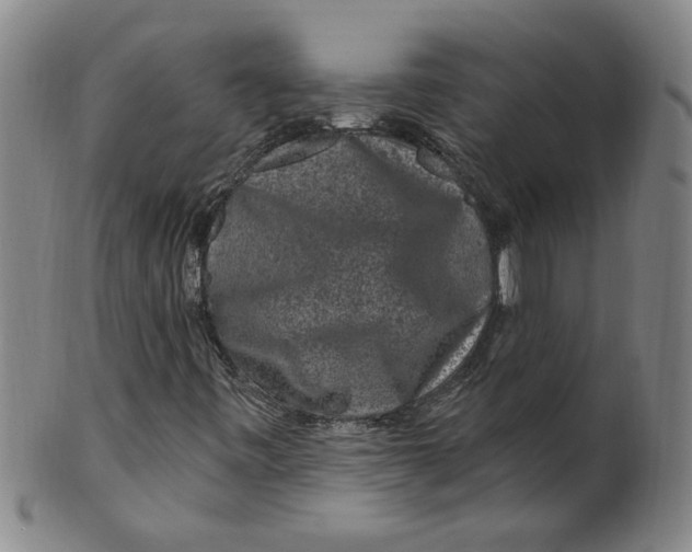 X0000100391443200806271346