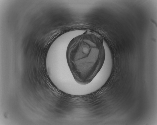 X0000100391444200806271346