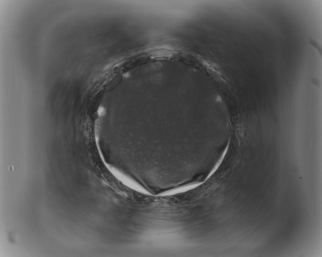 X0000100391445200806271346