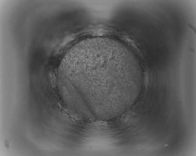 X0000100391446200806271346