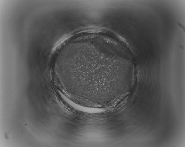 X0000100391448200806271346