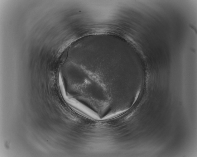 X0000100391449200806271346