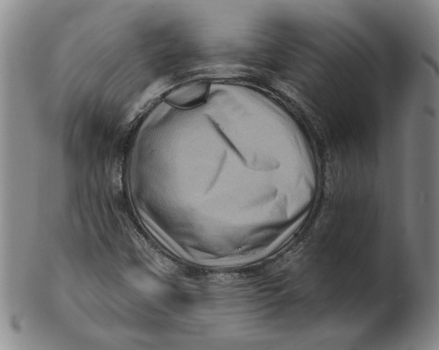 X0000100391451200806271346