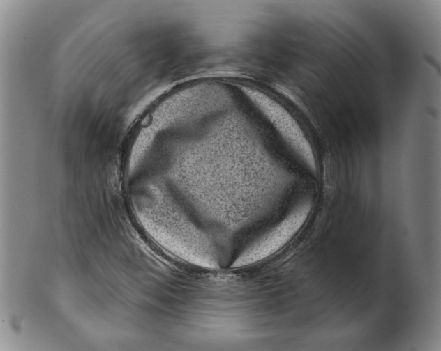 X0000100391452200806271346