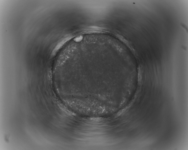 X0000100391453200806271346