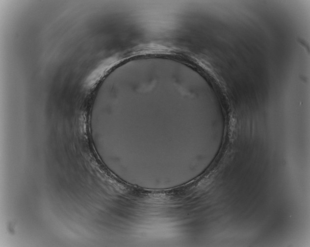 X0000100391455200806271346