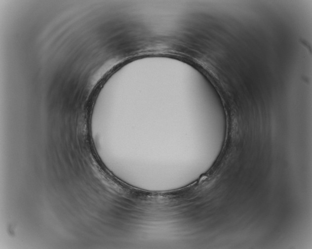 X0000100391458200806271346