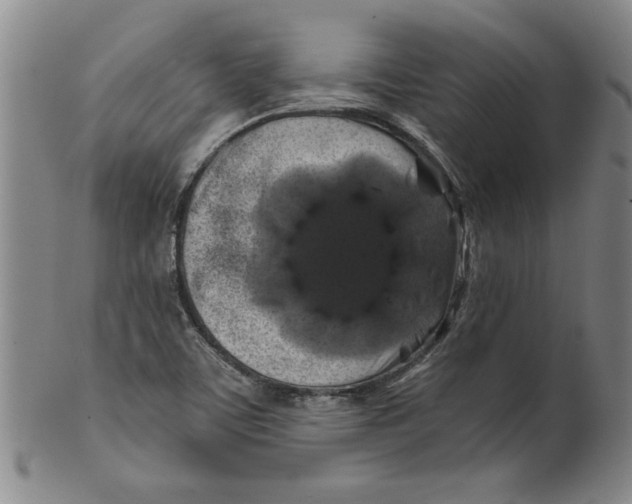 X0000100391459200806271346