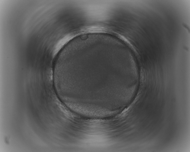 X0000100391461200806271346