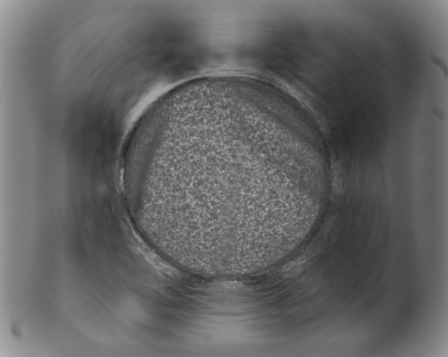 X0000100391462200806271346