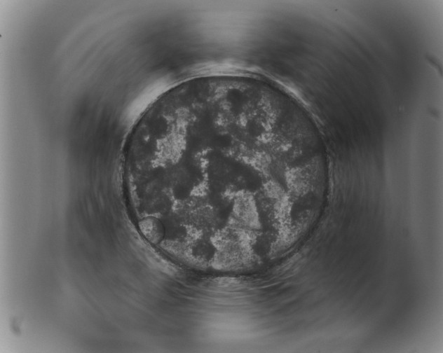 X0000100391463200806271346