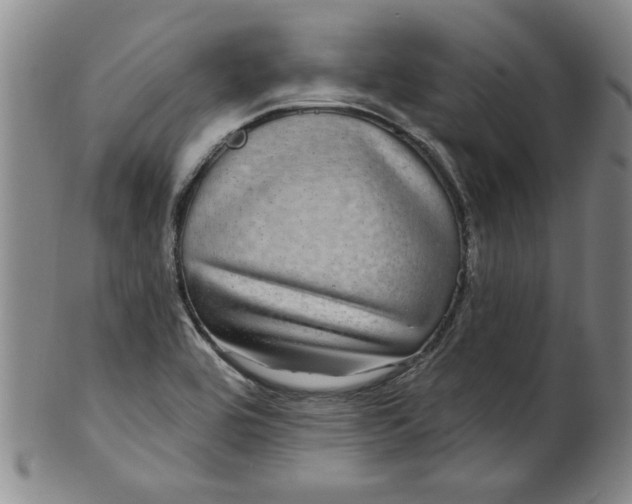 X0000100391464200806271346