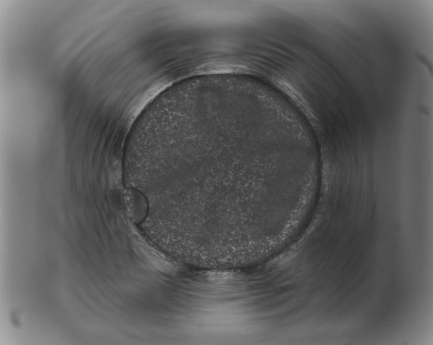 X0000100391465200806271346