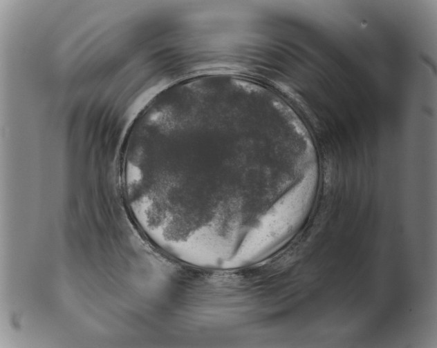 X0000100391466200806271346